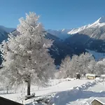 Voltahof 维京
